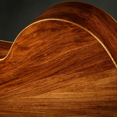 Taylor Custom GA - Honduran Rosewood/Adirondack image 18