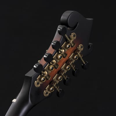 Washburn M108SWK Americana Series All Solid F-Style Maple Neck Wood Mandolin w/Hardshell Case image 13