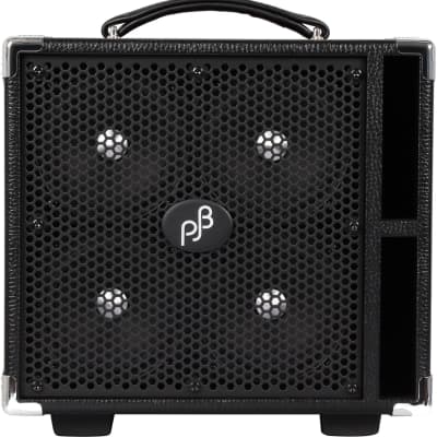 Phil Jones BG-100 Bass Cub 2x5 100w Combo Amp | Reverb Canada