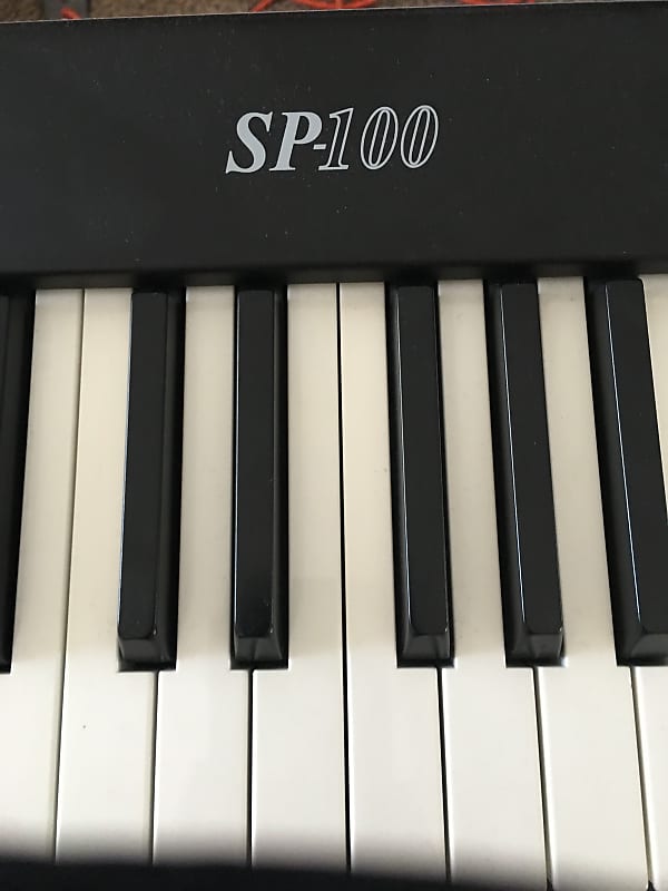 Korg SP-100 Black | Reverb