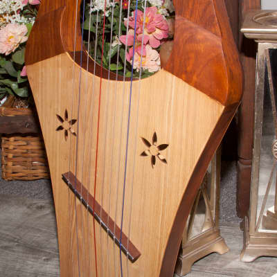 Kinnor Harp 2-Tone Color w/ Gig Bag & Extra Strings Set image 4