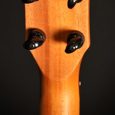 Oli L2 CMG Mango Concert 2025 - Natural Highgloss image 6
