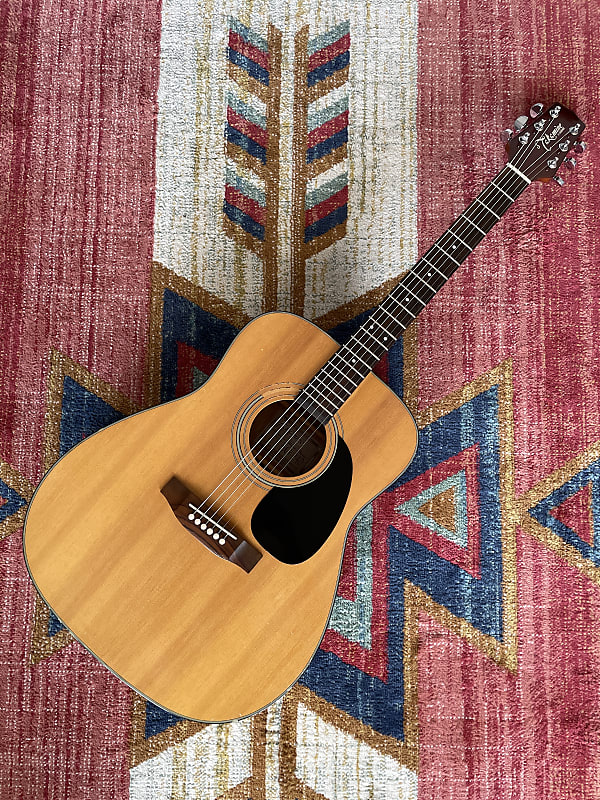 Takamine deals eg 240