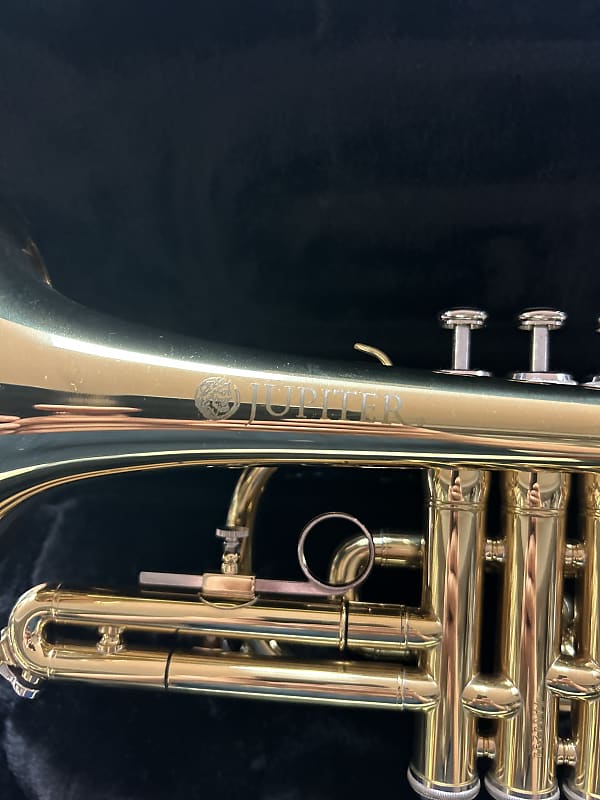 Jupiter Cornet JCR-520L - Gold Lacquer