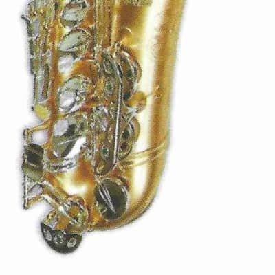 10Pc Saxophone Anches Force 2.5 for Alto Soprano Tenor Sax