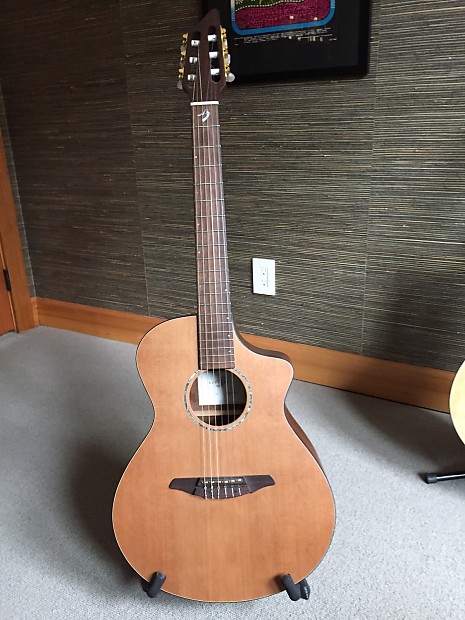 Breedlove AN250 CR/SYN  Natural image 1
