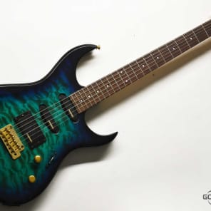 Fernandes FGZ-420 1997-2000 SBG | Reverb Japan