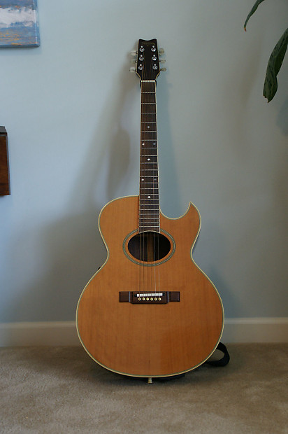 Washburn tanglewood hotsell