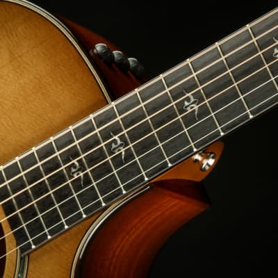 Taylor 514ce (Brand New) image 9