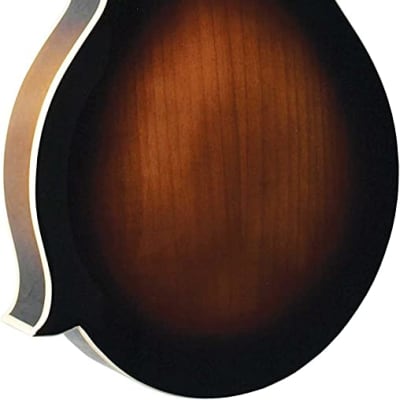 Morgan Monroe MM-550F Solid Hand Carved Graduated Spruce Top Maple Neck F Style 8-String Mandolin image 3