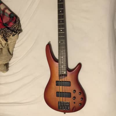 Ibanez SR500 Electric Bass 2010s - Brown Mahogany. NOT Ookume, like current model. NEAR MINT for sale
