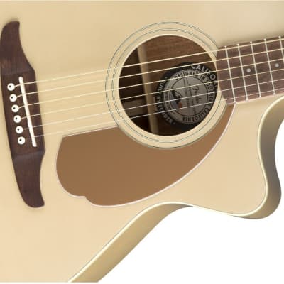 Fender Newporter Player Solid Spruce Top and Walnut Fretboard in Champagne image 6