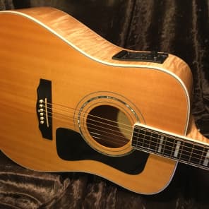 Guild D60 Maple Back "90s Westerly Wonder" Rare Bird  Acoustic Electric Top of the Line Model image 9