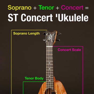 STL Concert Ukulele- Romero Creations- Dani Joy Music- image 7