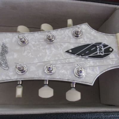 Collings 290 DC  Doghair with Pearloid Binding 2015 - Doghair with Pearloid Binding image 11