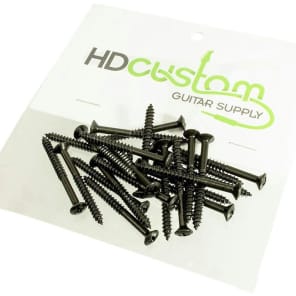 HDCustom HDSP025B-24 Phillips Head Neck Mounting Screws (24-Pack)