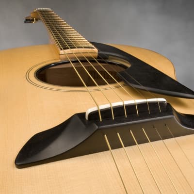 Schneider Guitars / The SoHo17 image 10