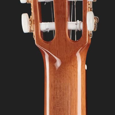 Raimundo Model 610E-C 4/4 Classical Electric Guitar with Cutaway NAT image 6
