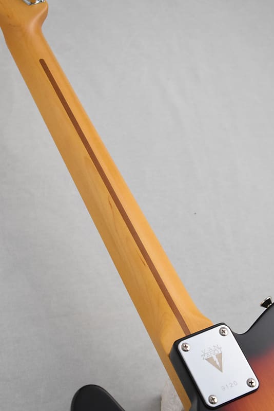Vanzandt [Made in JAPAN] Custom Order TLV-Thinline | Reverb