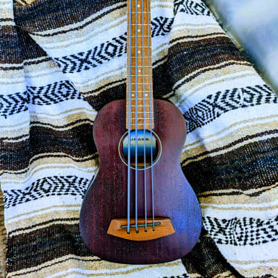 Kala RMBL-FS U-Bass Rumbler Fretted Acoustic Electric Ukulele Bass Satin Brown for sale