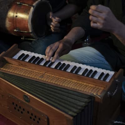 Bhava Studio Harmonium | Concert Teak Edition image 4