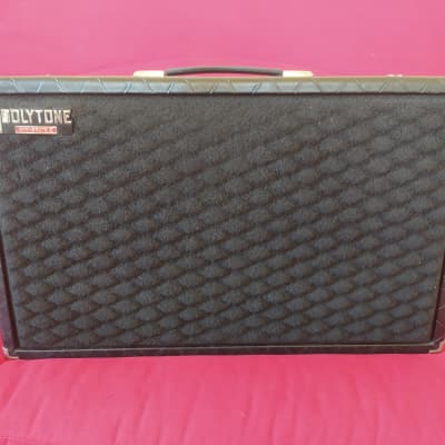 Polytone Mini-Brute V  Rare 2x10' Speakers version for sale