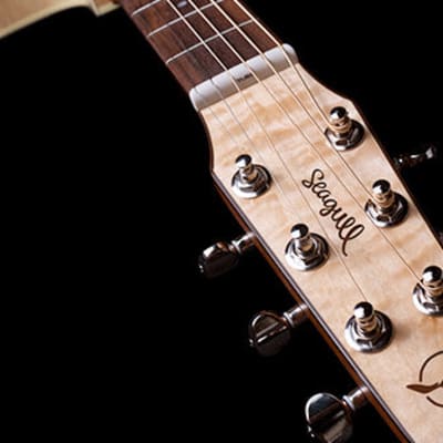 Seagull Performer CW Mini-Jumbo Flame Maple QIT Electric Acoustic Guitar image 3