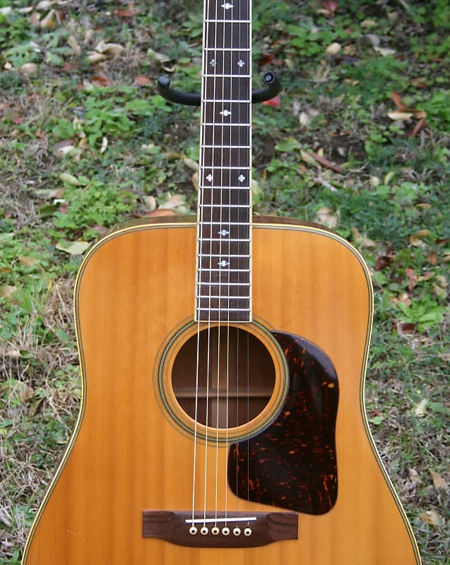 1975 Takamine Elite Doc Watson TW-30G Natural+retro case | Reverb