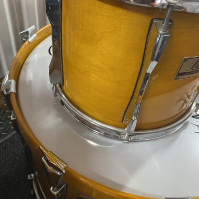 Pearl  MLX all maple Pre Masters thick shells 4 piece drum kit 90s Honey Amber lacquer image 8