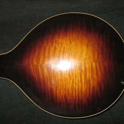 Gibson A50? Mandolin image 8
