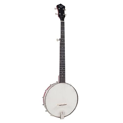 Recording King RKH-05 Dirty 30s Resonator Banjo, Satin image 1