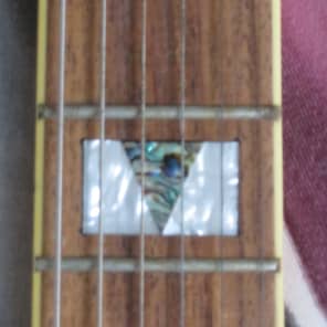 Switch Vibracell Telecaster-Type Psychedelic image 8