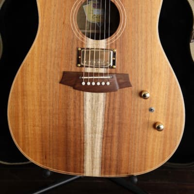 Cole Clark FL2EC Blackwood/Blackwood Humbucker Dual-Output Guitar for sale