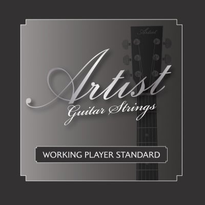 Artist CL44SPKAM Ultimate Beginner Classical Guitar Pack image 6