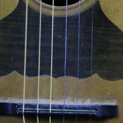 Vintage August Pollman Mandoline Guitar 1890s image 6