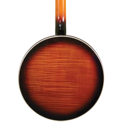 Gold Tone OB-250+TP Professional Orange Blossom Banjo w/Tony Pass Schaeffer Rim & Hardshell Case image 3