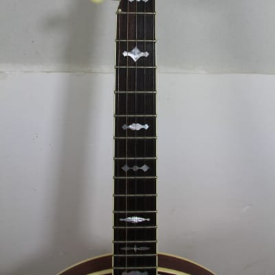 Gold Star GF-85 Banjo image 6
