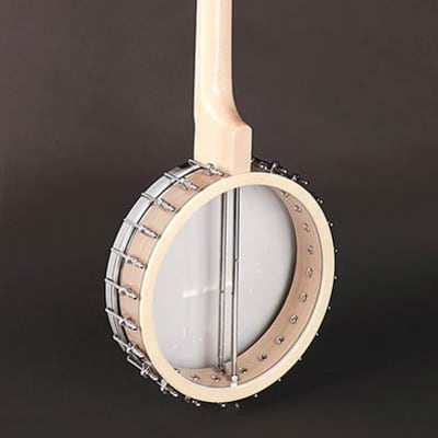 Richwood Master Series RMB-1405-LN long neck open back 5-string banjo image 2