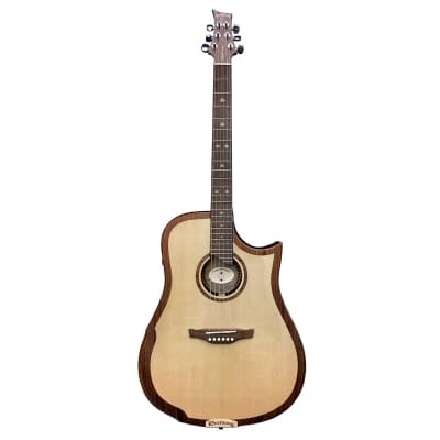 Riversong 2P G2 Performer - Electro-Acoustic Guitar image 1