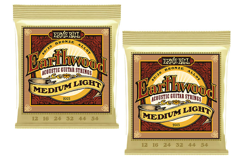 Ernie ball earthwood deals light