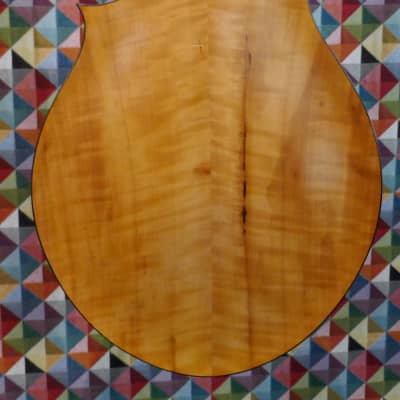 Phil Davidson Mandola 2017 image 9