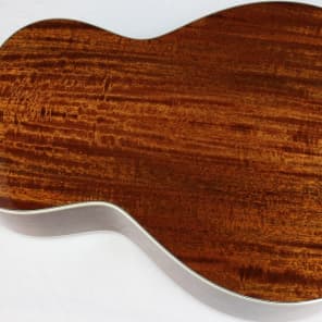 Eastman E10OO-M Double OO Acoustic Guitar w/ HSC, 12-Fret, Solid Mahogany, DEMO!! #28377-2 image 3