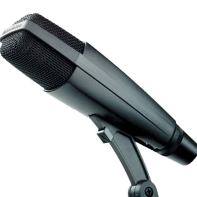 Sennheiser MD 421 II Cardioid Dynamic Microphone