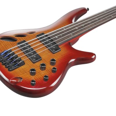 Ibanez Bass Workshop SRD905F Fretless 5-String Bass - Brown Topaz Burst image 6