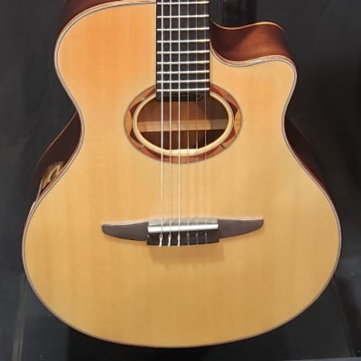 NX Series NTX5 Nylon-String Acoustic-Electric Guitar