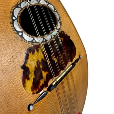 Pasquale Vinaccia Mandolin from 1883 image 5