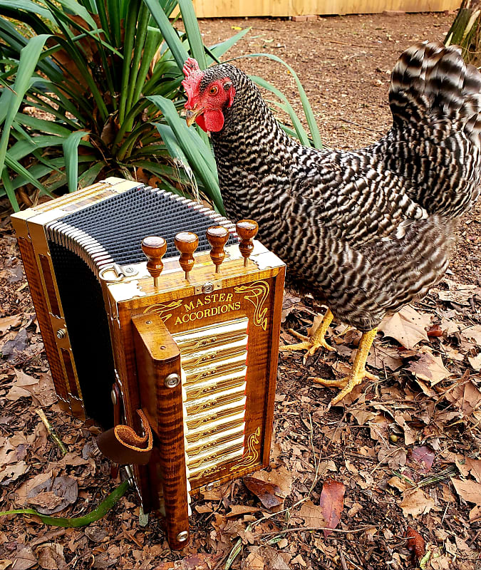 Accordions, Fiddles, Two Step & Swing: A Cajun Music Reader – UL Press