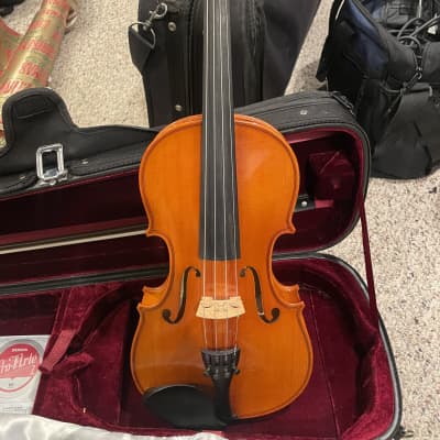 Eastman Violin VL 80 2015 | Reverb