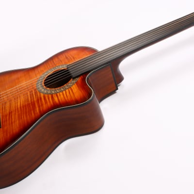 Agile Renaissance 6 String Fretless 625 Classical EQ CUT TigerE Classical Acoustic / Electric Guitar image 4