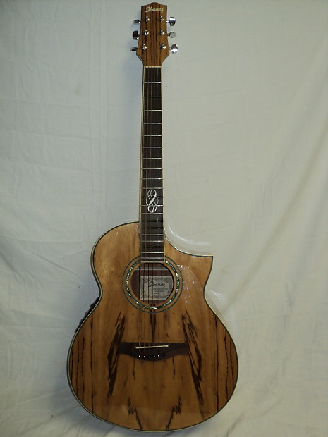 Ibanez ew20zwent deals 1201 price